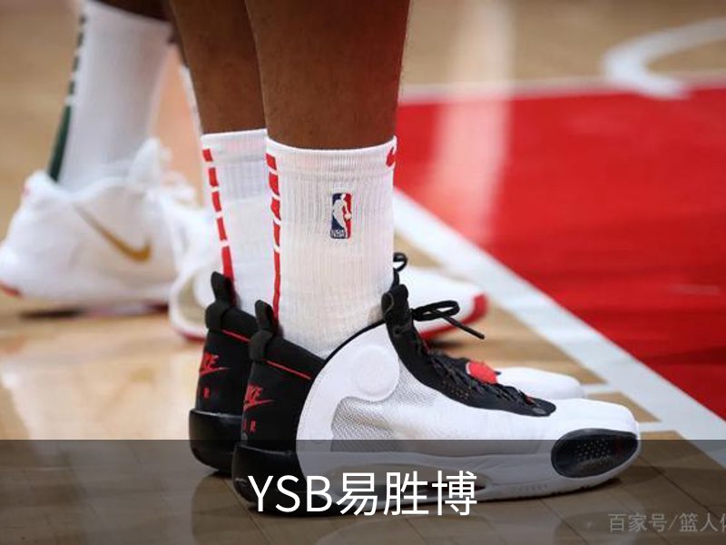 YSB易胜博简介
